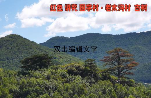古树小程序20260223185241_226_7_副本.jpg