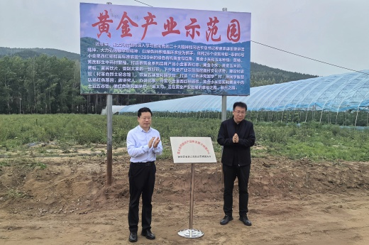 校党委书记赵险峰带队调研指导乡村振兴工作